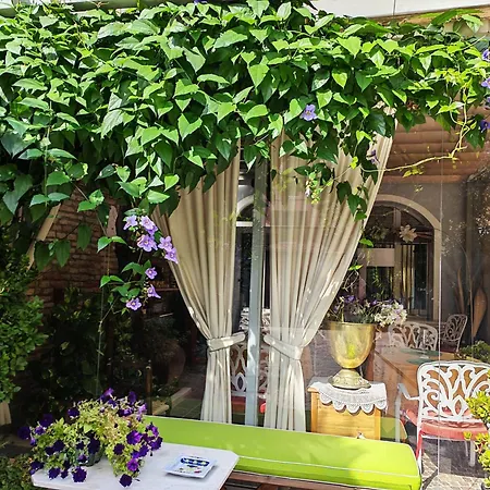 Noctis Bed & Breakfast 4*